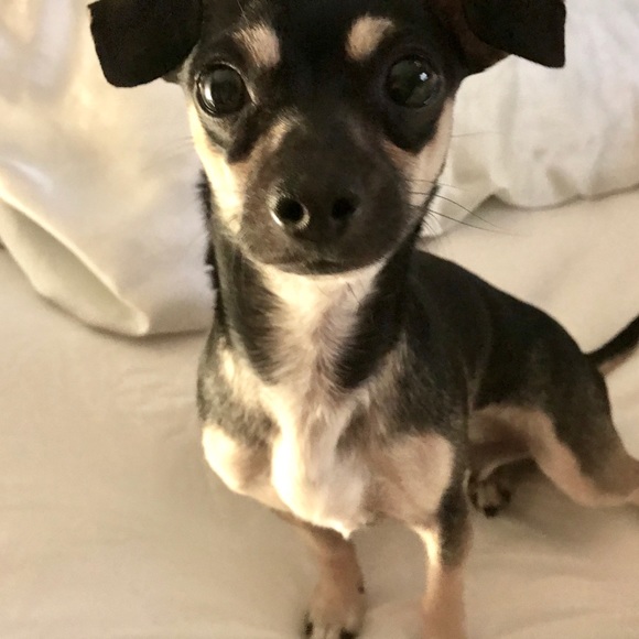 💕💚 Hi! I'm your Posher, Jess! 💚💕 - Picture 9 of 11